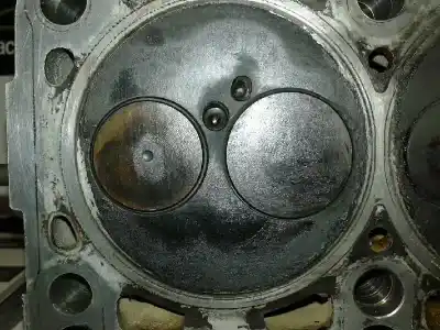 Peça sobressalente para automóvel em segunda mão cabeça / culatra por seat toledo (1m2) 1.9 tdi referências oem iam   