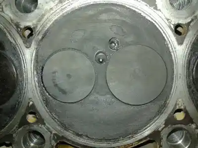 Peça sobressalente para automóvel em segunda mão cabeça / culatra por seat toledo (1m2) 1.9 tdi referências oem iam   