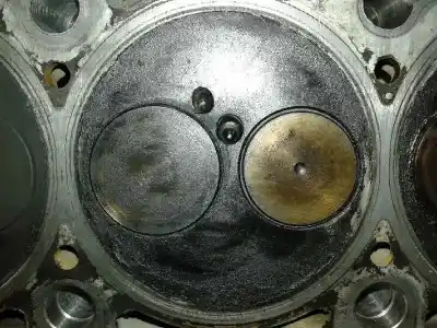 Peça sobressalente para automóvel em segunda mão cabeça / culatra por seat toledo (1m2) 1.9 tdi referências oem iam   