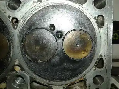 Peça sobressalente para automóvel em segunda mão cabeça / culatra por seat toledo (1m2) 1.9 tdi referências oem iam   