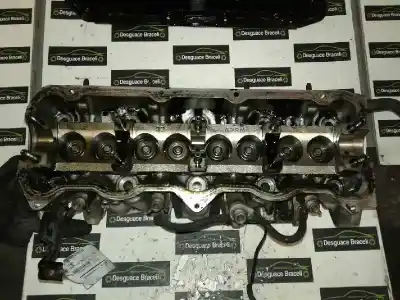 Peça sobressalente para automóvel em segunda mão cabeça / culatra por seat toledo (1m2) 1.9 tdi referências oem iam   