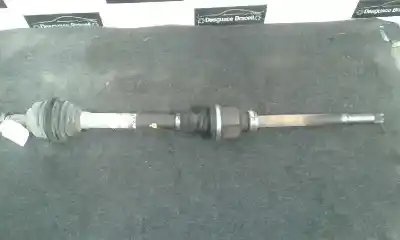 Pezzo di ricambio per auto di seconda mano trasmissione anteriore destra per citroen c4 picasso sx riferimenti oem iam 