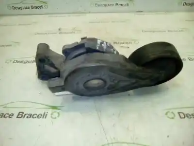 Pezzo di ricambio per auto di seconda mano tendicinghia ausiliaria per audi a3 (8l) 1.9 tdi ambiente riferimenti oem iam   