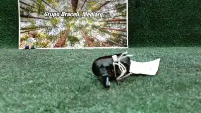 Peça sobressalente para automóvel em segunda mão botão / interruptor elevador vidro dianteiro direito por opel zafira a elegance referências oem iam   