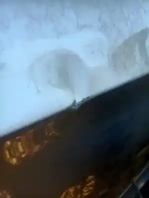 Second-hand car spare part left front door for bmw 3 touring (e91) 320 i oem iam references   