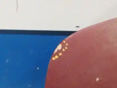 Автозапчастина б/у передні ліві двері для jaguar xjs/xjsc/xjr-s 3.6 coupe 220 cv / 162 kw посилання на oem iam 