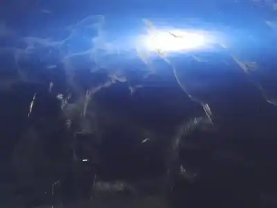 Peça sobressalente para automóvel em segunda mão porta do automóvel traseira direita por seat leon (1p1) comfort limited referências oem iam 