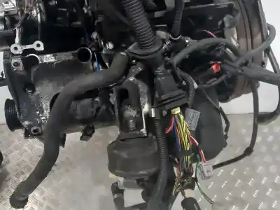 Peça sobressalente para automóvel em segunda mão motor completo por bmw 3 compact (e46) 316 ti referências oem iam n42b18a