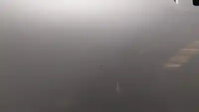 İkinci el araba yedek parçası sag ön kapi için citroen c4 picasso i monospace (ud_) 1.6 hdi oem iam referansları   n5.z1.3.4.a