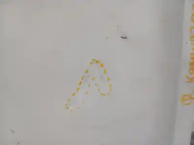 Автозапчастина б/у праві задні двері для renault kangoo (f/kc0) alize 64 cv / 47 kw посилання на oem iam   n5.z1.2.11 Автозапчастина б/у праві задні двері для renault kangoo (f/kc0) alize 64 cv / 47 kw посилання на oem iam   n5.z1.2.11