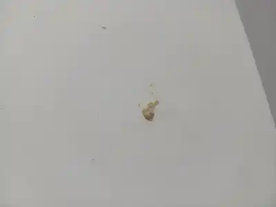 Автозапчастина б/у капок для citroen jumpy (u6u_) 1.9 d посилання на oem iam   n5.z1.4.13.b