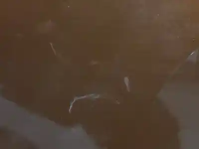 Автозапчастина б/у двері задні ліві для dacia duster ii comfort посилання на oem iam   n5.z1.1.17.b