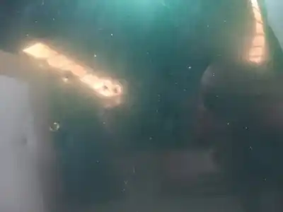 Peça sobressalente para automóvel em segunda mão capot por audi a4 berlina (b5) 1.8 t referências oem iam   n5.z1.4.16.a