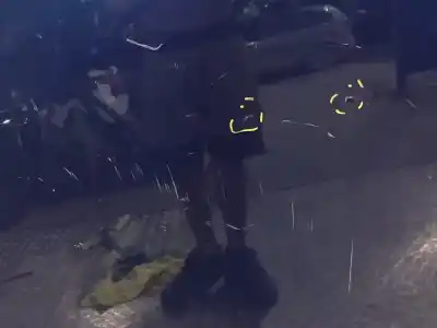 İkinci el araba yedek parçası kaporta için volkswagen passat b6 variant (3c5) 2.0 tdi 16v oem iam referansları   n5.z1.4.6.a