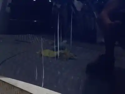 İkinci el araba yedek parçası kaporta için volkswagen passat b6 variant (3c5) 2.0 tdi 16v oem iam referansları   n5.z1.4.6.a