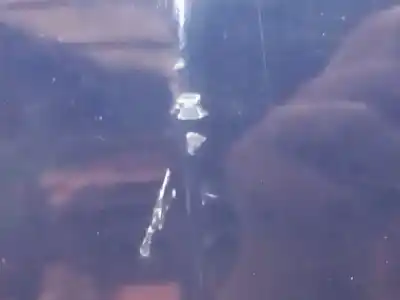 Second-hand car spare part bonnet for citroen c6 básico oem iam references   n5.z1.4.4.a