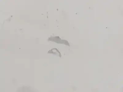 Peça sobressalente para automóvel em segunda mão capot por opel combo familiar referências oem iam   n5.z1.4.2.b