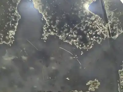 Автозапчасти б/у капот за fiat croma (194_) 1.9 d multijet (194axb1b) ссылки oem iam   n5.z1.4.17.b