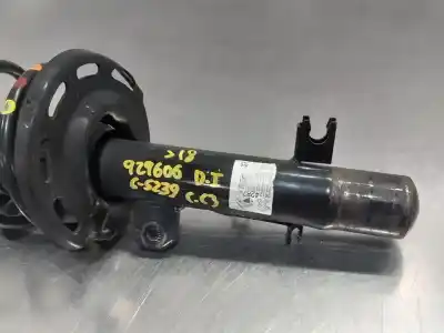 Peça sobressalente para automóvel em segunda mão amortecedor dianteiro esquerdo por citroen c3 comercial 74 cv / 55 kw referências oem iam 9812428780  n4.z1.01.02.14