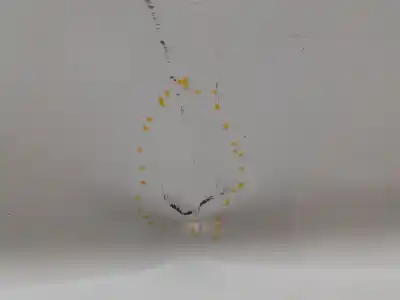 Peça sobressalente para automóvel em segunda mão porta dianteira direita por toyota corolla (e21) hybrid style 140 cv / 103 kw referências oem iam   n5.z1.3.13.a