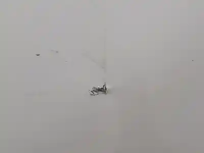 Peça sobressalente para automóvel em segunda mão porta dianteira direita por toyota corolla (e21) hybrid style 140 cv / 103 kw referências oem iam   n5.z1.3.13.a