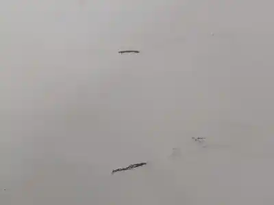 Peça sobressalente para automóvel em segunda mão porta dianteira direita por toyota corolla (e21) hybrid style 140 cv / 103 kw referências oem iam   n5.z1.3.13.a