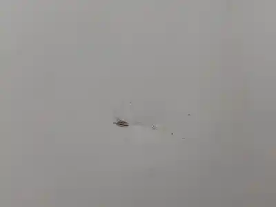 Peça sobressalente para automóvel em segunda mão porta do automóvel traseira direita por toyota corolla (e21) hybrid style 140 cv / 103 kw referências oem iam   n5.z1.3.18.b