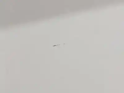 İkinci el araba yedek parçası arka sol kapi için ford b-max trend oem iam referansları   n5.z1.3.17.b