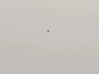 Автозапчасти б/у задняя левая дверь за seat leon (5f1) reference ecomotive ссылки oem iam   n5.z1.1.5.b