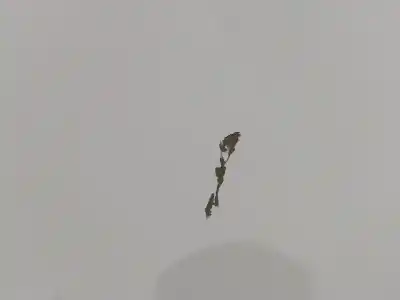 Автозапчасти б/у задняя левая дверь за ford kuga (cbs) titanium ссылки oem iam   n5.z1.4.19.b