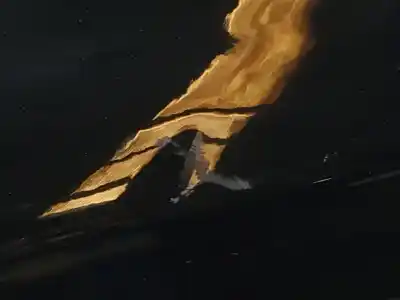 Peça sobressalente para automóvel em segunda mão porta do automóvel traseira esquerda por ford focus lim. (cb8) urban referências oem iam   n5.z1.2.2