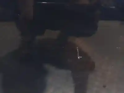 Peça sobressalente para automóvel em segunda mão porta dianteira direita por peugeot 208 business line referências oem iam   n5.z1.4.20.a