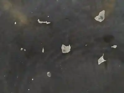 Peça sobressalente para automóvel em segunda mão capot por opel zafira b cosmo referências oem iam   n5.z1.4.17.a