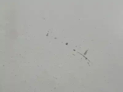 Pezzo di ricambio per auto di seconda mano cofano per renault master ii ph. 2 pritsche/fgst l1h1 caja abierta 2.8 to batalla 3078 mm 120 cv / 88 kw riferimenti oem iam   n5.z1.4.15.b