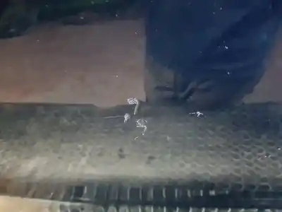 Peça sobressalente para automóvel em segunda mão porta do automóvel traseira direita por ford focus lim. (cb8) trend referências oem iam   n5.z1.1.1.b