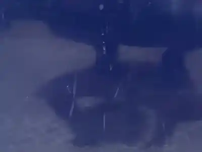 İkinci el araba yedek parçası arka sag kapi için ford focus turn. (cb8) titanium oem iam referansları   n5.z1.3.25.b