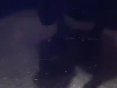 İkinci el araba yedek parçası arka sol kapi için ford focus turn. (cb8) titanium oem iam referansları   n5.z1.3.26.b