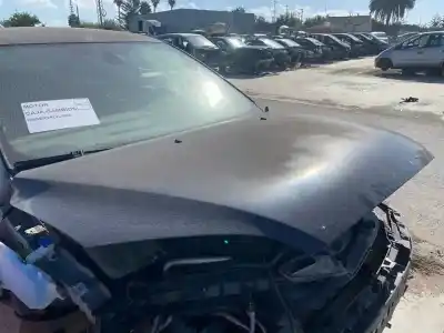Peça sobressalente para automóvel em segunda mão capot por ford focus berlina (cap) ambiente (d) referências oem iam   