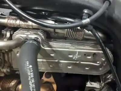 Pezzo di ricambio per auto di seconda mano motore completo per volkswagen passat b6 variant (3c5) 1.9 tdi riferimenti oem iam bxe  n1.z1.31.2.b