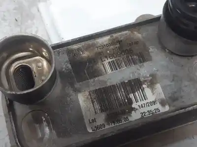 Gebrauchtes Autoersatzteil MOTORÖLKÜHLER zum BMW SERIE 5 BERLINA (E60)  OEM-IAM-Referenzen 7031036904  
