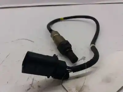 Pezzo di ricambio per auto di seconda mano sonda lambda per volkswagen polo v (6r1, 6c1) 1.6 tdi riferimenti oem iam 03l906262d  