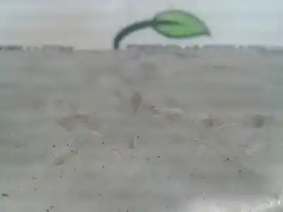 Second-hand car spare part sump for renault vel satis (bj0) initiale oem iam references 033438a  