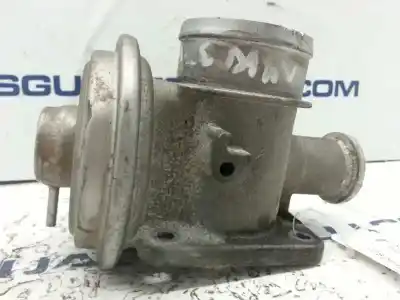 Peça sobressalente para automóvel em segunda mão válvula egr por bmw serie 3 berlina (e46) 3.0 24v turbodiesel cat referências oem iam 72826400  