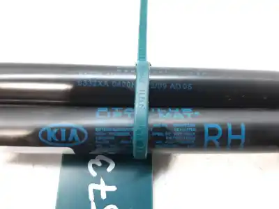 Peça sobressalente para automóvel em segunda mão amortecedores do tronco / porta por kia pro_ceed drive 90 cv / 66 kw referências oem iam 817801h310