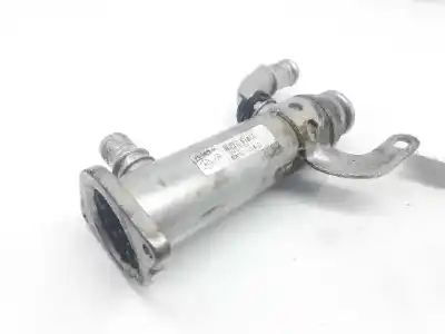 İkinci el araba yedek parçası EGR SOGUTUCU için CITROEN C4 BERLINA  OEM IAM referansları 9645689780  