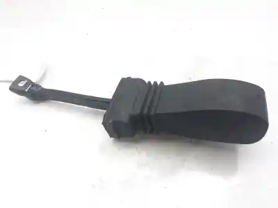 Peça sobressalente para automóvel em segunda mão esticador de porta por audi a5 sportback (8t) 2.0 tdi (140kw) referências oem iam 8t8839249c