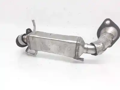Pezzo di ricambio per auto di seconda mano RAFFREDDATORE EGR per MAZDA 6 BERLINA (GG)  Riferimenti OEM IAM RF8G20304  