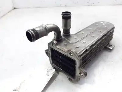 Pezzo di ricambio per auto di seconda mano RAFFREDDATORE EGR per SEAT LEON (1P1)  Riferimenti OEM IAM 03G131513J  