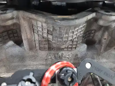 Peça sobressalente para automóvel em segunda mão cabeça / culatra por nissan almera (n16/e) line up referências oem iam aw4