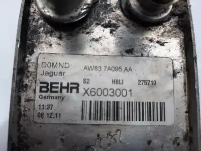 Second-hand car spare part ENGINE OIL COOLER for JAGUAR XF  OEM IAM references X6003001  